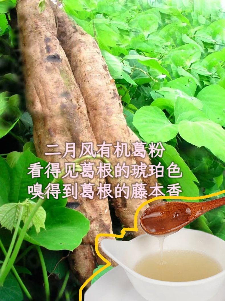 二月風(fēng)有機(jī)葛粉，看得見葛根的琥珀色，嗅得到葛根的藤本香_790.jpg